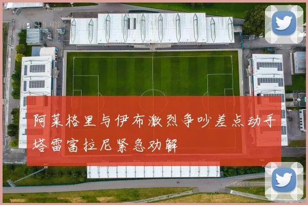 阿莱格里与伊布激烈争吵差点动手塔雷富拉尼紧急劝解